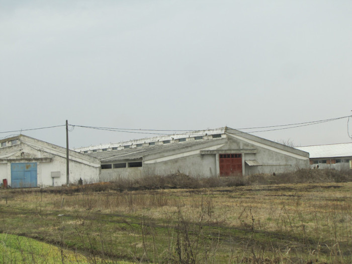 agrolessm firma de prepelite