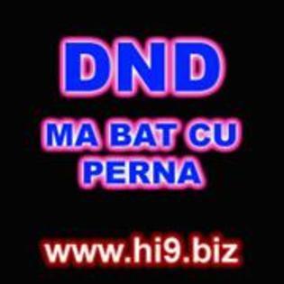 11701729_XASCDDCUF[1]