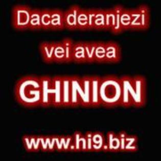 11701869_GFBLWTIDR[1]