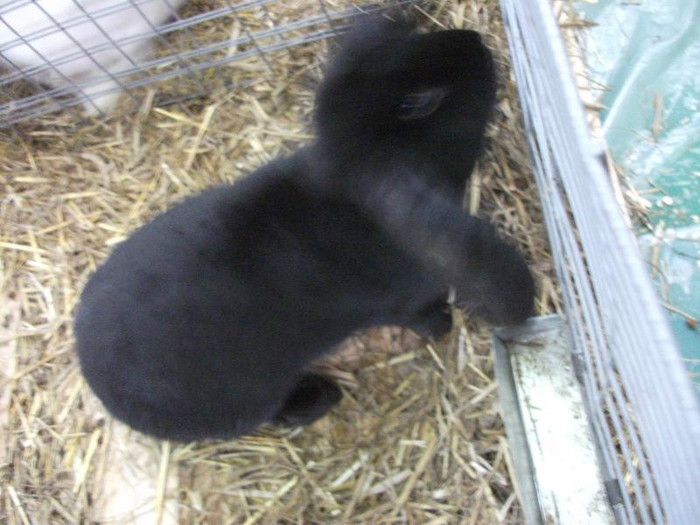 Picture 026