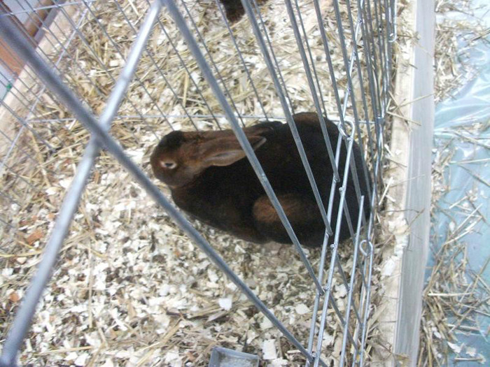 Picture 035