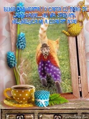 122fa6eba2b4bda5689f93da6ab86bbb