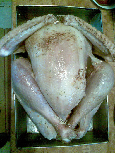 curcan... NUD