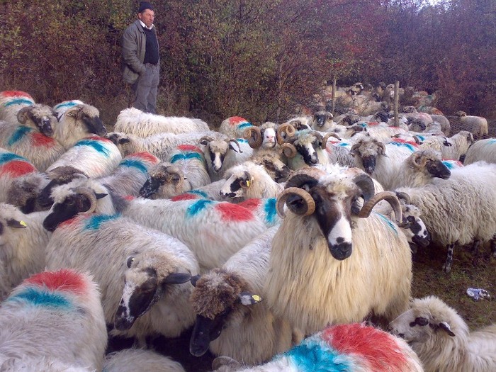 160420063753 - PUI 2011