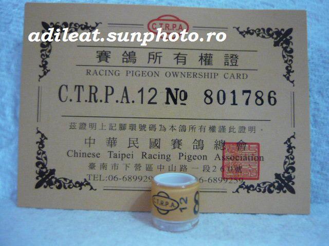 TAIWAN-2012-CTRPA - TAIWAN-ring collection