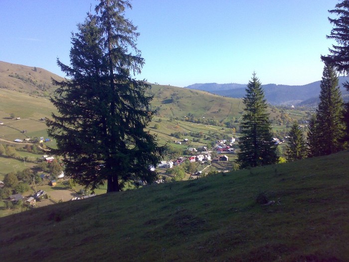 070420063337 - GEMENEA satu meu