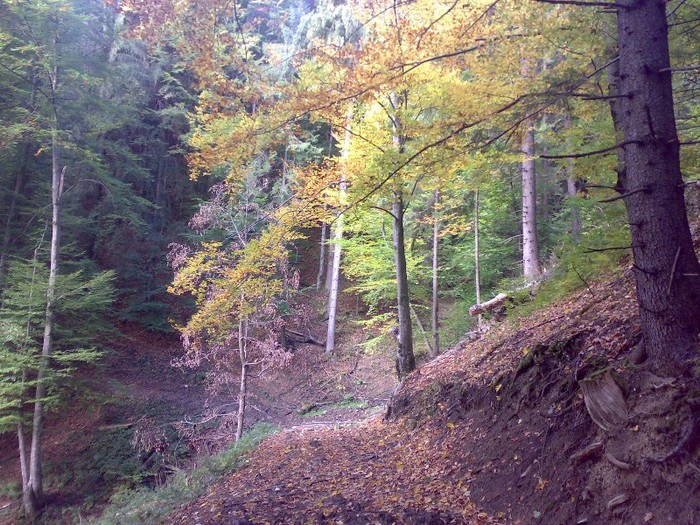 130420063439 - GEMENEA satu meu