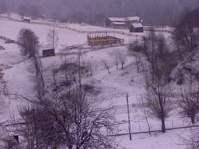 200220111259 - GEMENEA satu meu