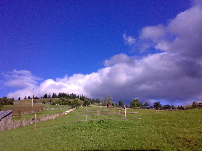 310120062644 - GEMENEA satu meu