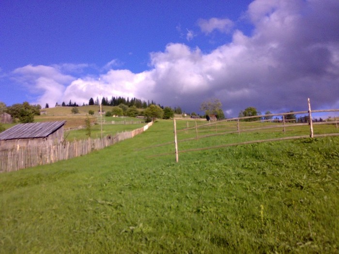 310120062647 - GEMENEA satu meu