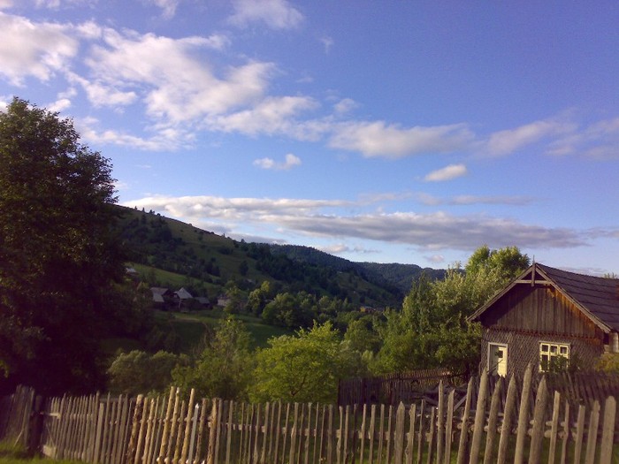 310120062651 - GEMENEA satu meu