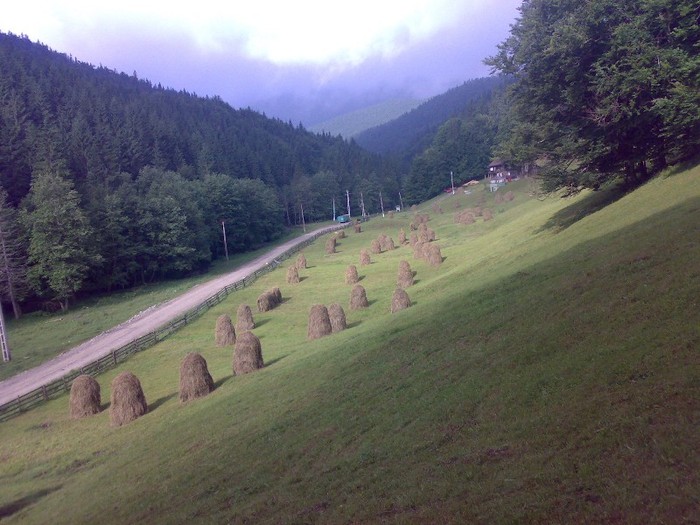 130120062250 - GEMENEA satu meu