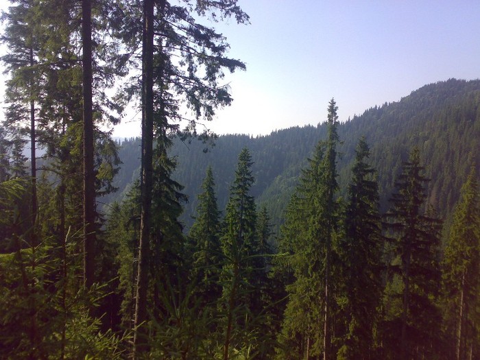 200120062265 - GEMENEA satu meu