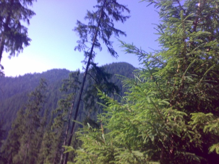 200120062266 - GEMENEA satu meu