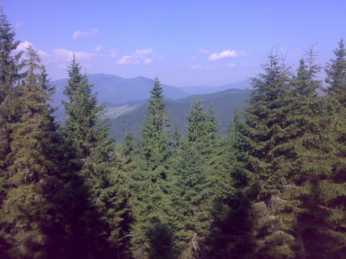 200120062272 - GEMENEA satu meu