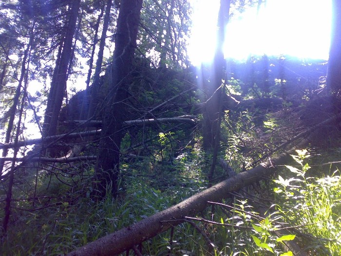 200120062278 - GEMENEA satu meu