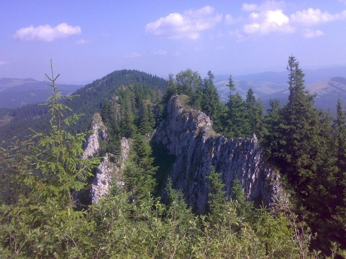 200120062298 - GEMENEA satu meu