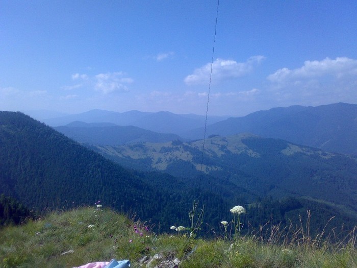 200120062300 - GEMENEA satu meu