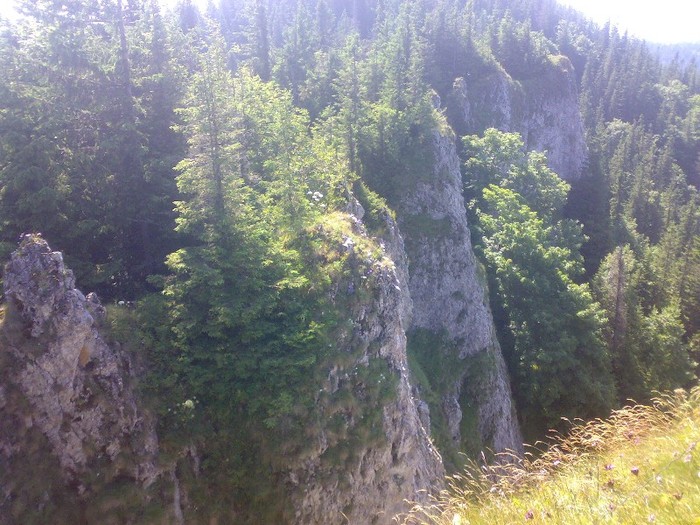 200120062301 - GEMENEA satu meu