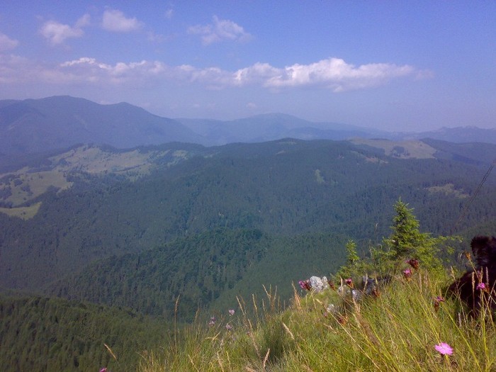 200120062309 - GEMENEA satu meu