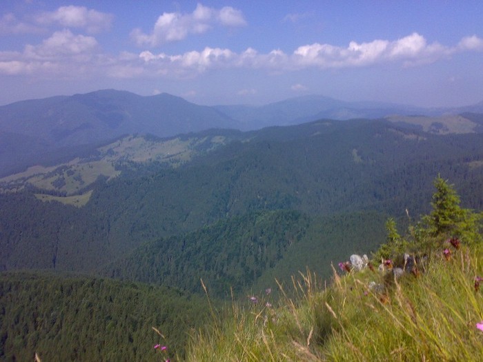 200120062311 - GEMENEA satu meu