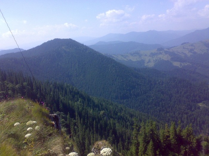 200120062322 - GEMENEA satu meu