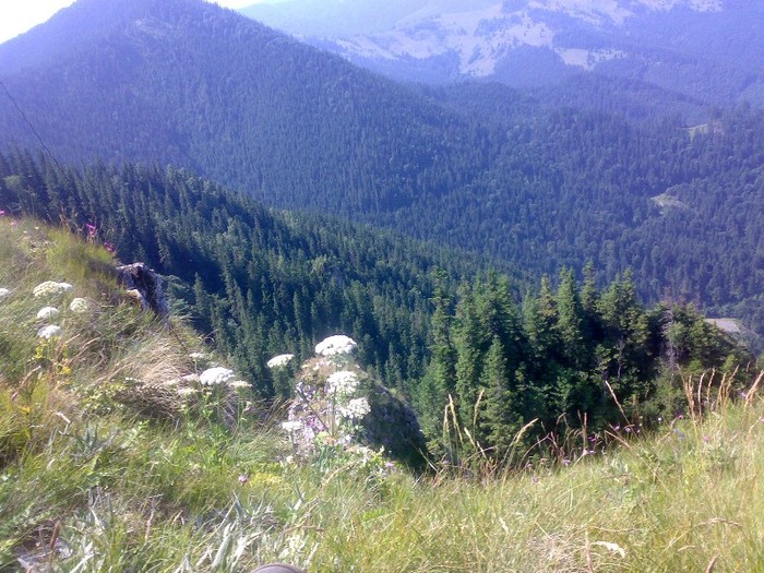 200120062324 - GEMENEA satu meu