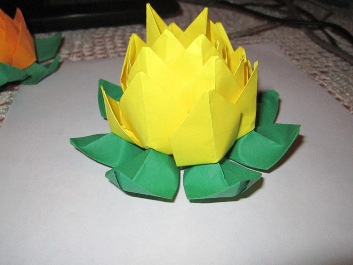 IMG_4346 - origami de vanzare