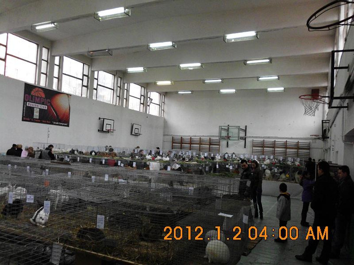 HPIM0078 - Expo Baia Mare 2012