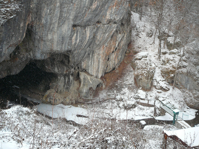 P1350402