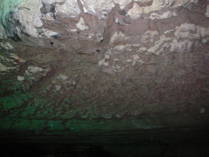 P1350448