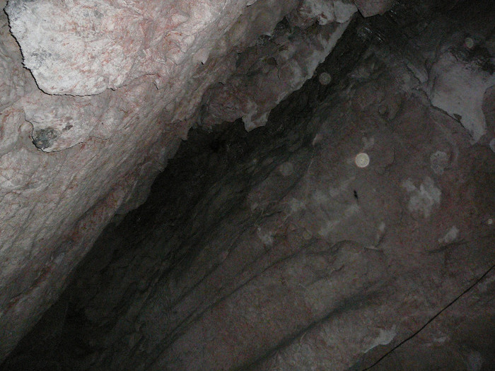 P1350461