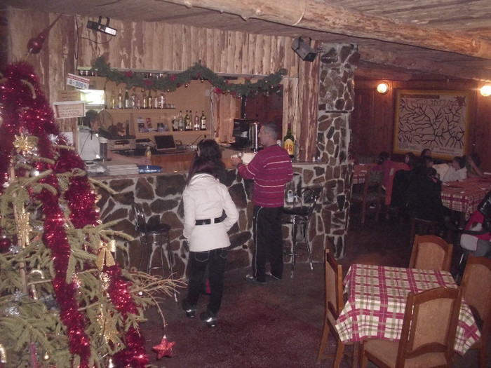 DSCI0601 - 9-10ianuarie2012Parang