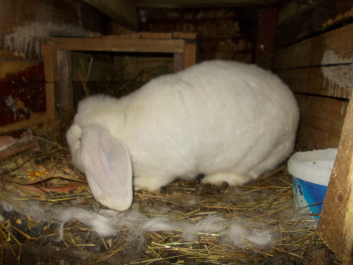 DSCN0582 - a a a a 10 01 2012