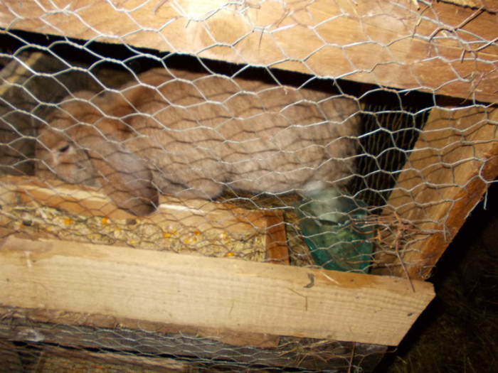 DSCN0639 - a a a a 10 01 2012