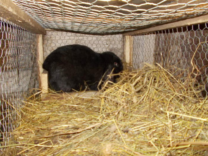 DSCN0627 - a a a a 10 01 2012