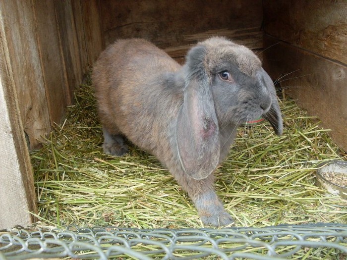 SDC12510 - ARHIVAA 2010-2011