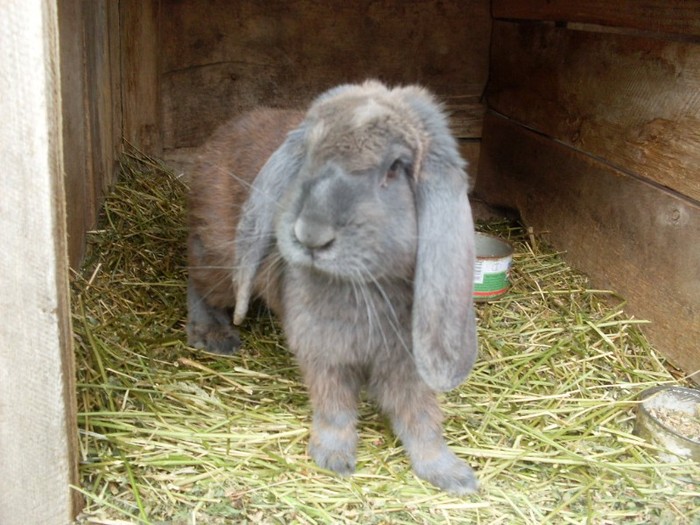 SDC12512 - ARHIVAA 2010-2011