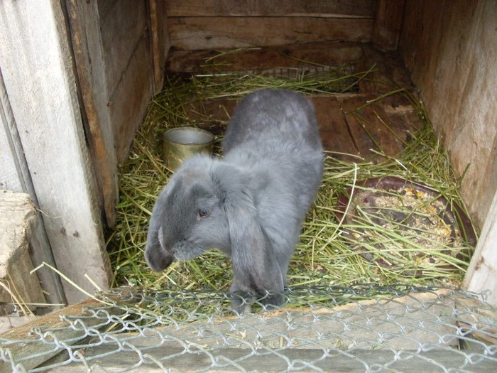 SDC12519 - ARHIVAA 2010-2011