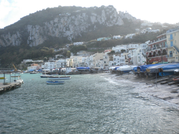 CAPRI 16.12 (49) - INSULA CAPRI 15-12-2011