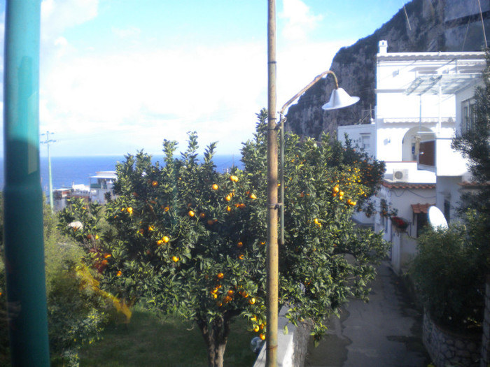 CAPRI 16.12 (53) - INSULA CAPRI 15-12-2011