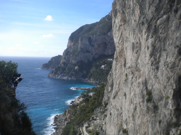 CAPRI 16.12 (58) - INSULA CAPRI 15-12-2011