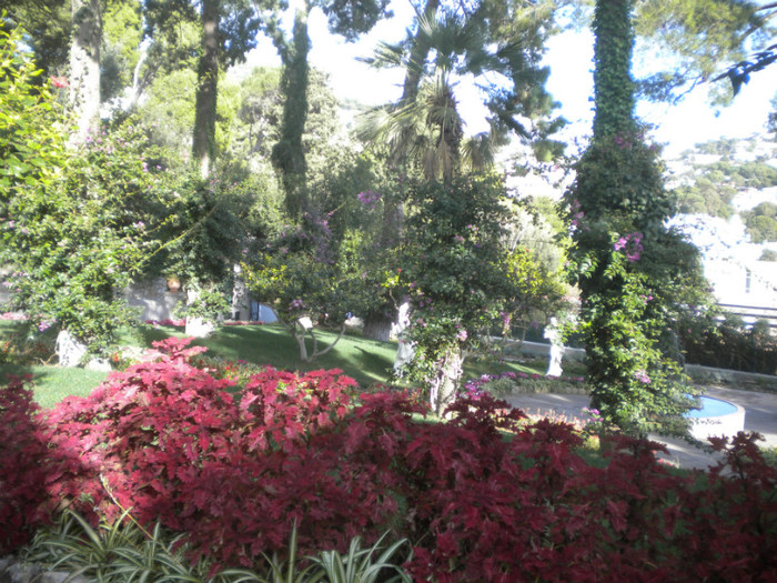 CAPRI 16.12 (80) - INSULA CAPRI 15-12-2011