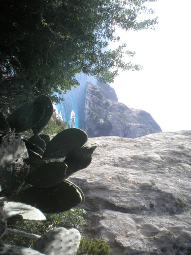 CAPRI 16.12 (82) - INSULA CAPRI 15-12-2011