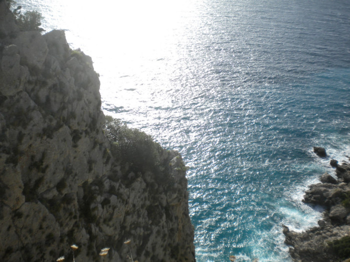 CAPRI 16.12 (87) - INSULA CAPRI 15-12-2011