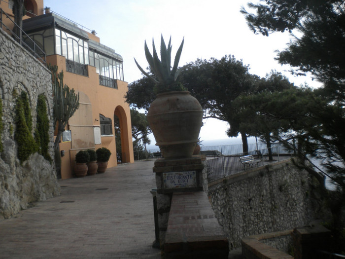 CAPRI 16.12 (128) - INSULA CAPRI 15-12-2011