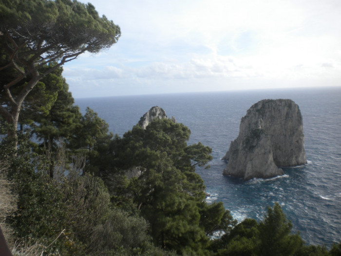 CAPRI 16.12 (129) - INSULA CAPRI 15-12-2011