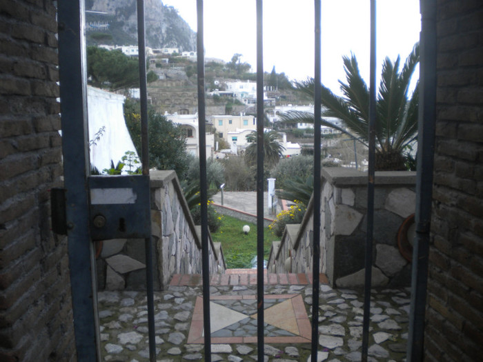CAPRI 16.12 (144) - INSULA CAPRI 15-12-2011