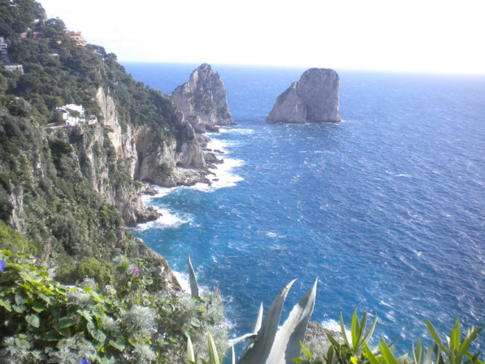 CAPRI 16.12 (50) - INSULA CAPRI 15-12-2011