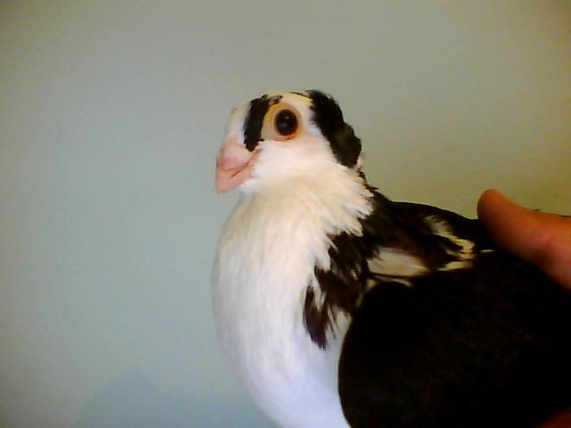 Picture 004